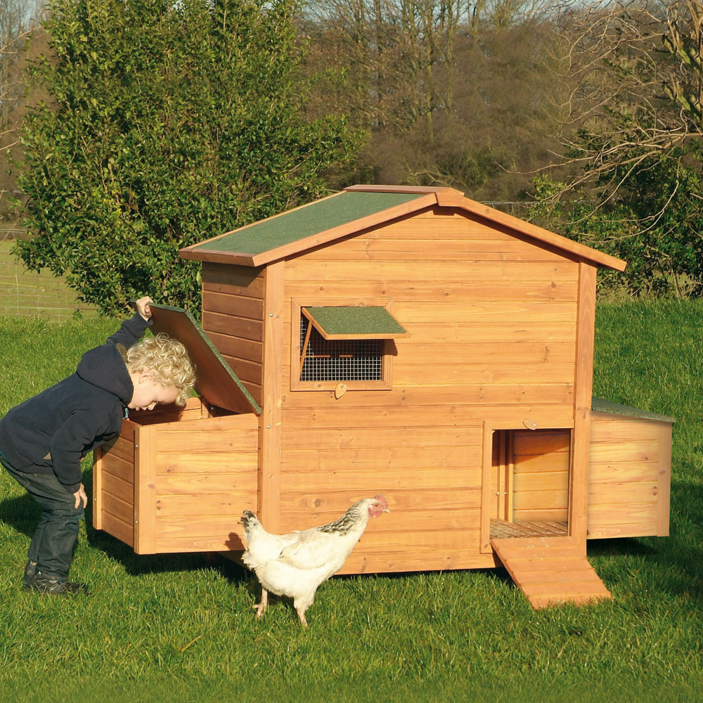 plan poulailler 500 poules
