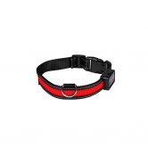 Collier pour chien lumineux Eyenimal USB rechargeable rouge