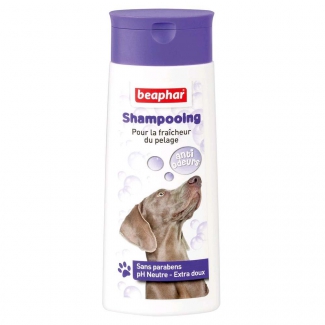 Shampooing anti-odeurs Beaphar