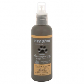Shampooing sec premium pour chien Beaphar