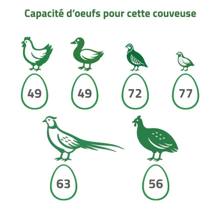 Couveuse DUC 70 Maino® - 70 œufs - Retournement automatique