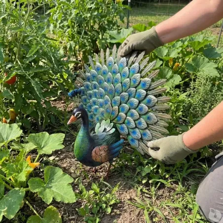 Paon décoratif en métal - 30x65x63 cm extérieur