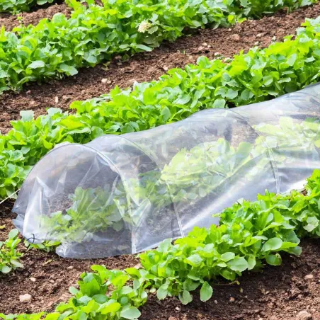 Lot de 4 tunnels de forçage 3m pour potager