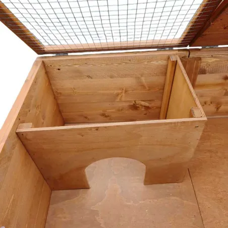 Kit complet pour poussins : abri + mangeoire et abreuvoir