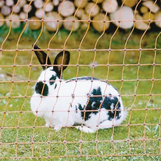 Filet électrifiable Kerbl 25m x 0,65m pour lapins simple pointe