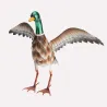 Canard décoratif en métal 41x35x40 cm - Extérieur/Intérieur