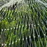 Filet anti-oiseaux 4x10m - Maille 15mm en nylon résistant