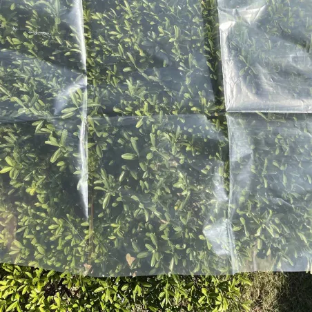 Voile de croissance 2,5x10m - Protection semi-transparente
