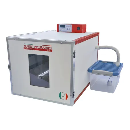 Couveuse auto DUC 70 Maino® - 70 œufs + humidificateur