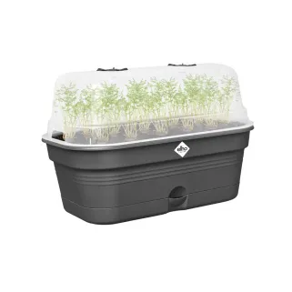 Bac de culture Elho® 32x13x18cm serre intégrée et aération