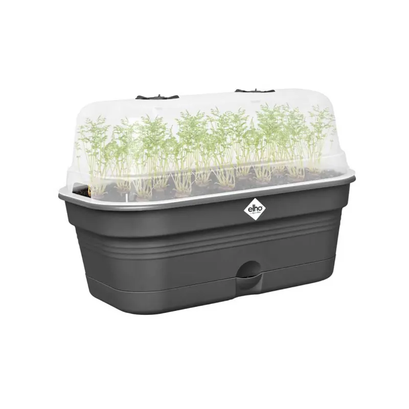Bac de culture Elho® 32x13x18cm serre intégrée et aération