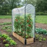 Carré potager tomates en sapin avec housse PVC 115x30x120cm