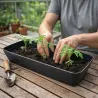 Bac à semis pro 53x23x20 cm - Démarrage optimal des cultures