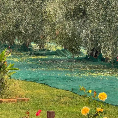 Filet récolte 4x4m - Maille 5mm PEHD résistant et léger