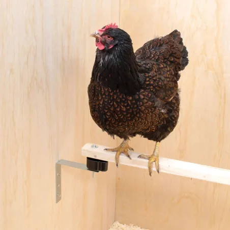 Kit perchoir Olba anti-poux rouges pour poules 50cm