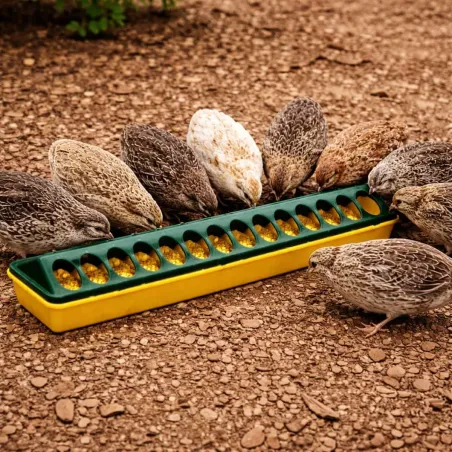 Mangeoire 50cm pour volailles en plastique à trous