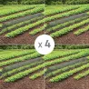 Lot de 4 tunnels maillés 3m pour potager - Protection