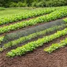Lot de 4 tunnels maillés 3m pour potager - Protection