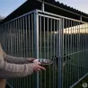 Panneaux de chenil à barreaux acier inoxydable 1,5 m ou 2m Hauteur 184 cm