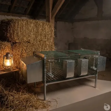 Clapier double maille thermolaqué pour 4 lapins