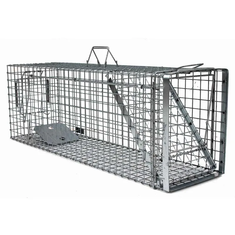 Cage-piège Hardy 3 ressorts 60° 80x26x30 cm anti-nuisibles