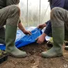 Bâche éco Platinium 2x3m - opaque et ultra-résistante