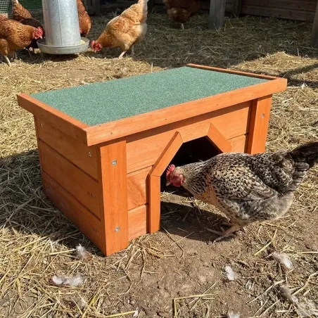 Nichoir universel en pin traité pour petits animaux