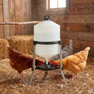 Abreuvoir sur pieds 30L pour volailles - River Systems