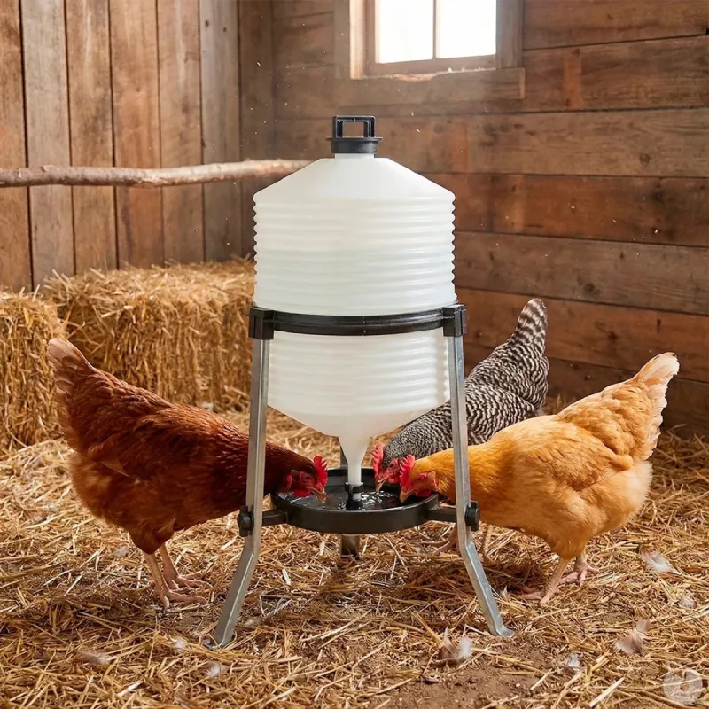 Abreuvoir sur pieds 30L pour volailles - River Systems