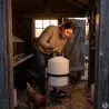 Abreuvoir sur pieds 30L pour volailles - River Systems