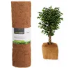 Tapis paillage coco 150x50 cm - Écologique et biodégradable