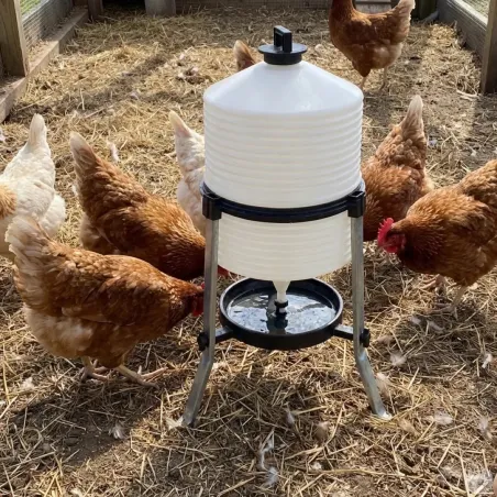 Abreuvoir sur pieds 30L pour volailles - River Systems