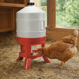 Abreuvoir 30L Novital - Fût plastique avec poignée et pieds