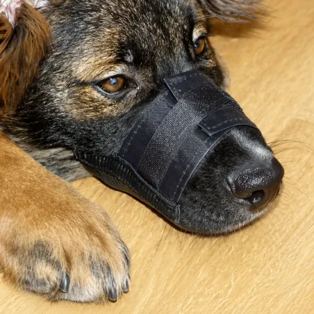Muselière nylon réglable pour chien - Anti-morsure