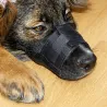 Muselière nylon réglable pour chien - Anti-morsure