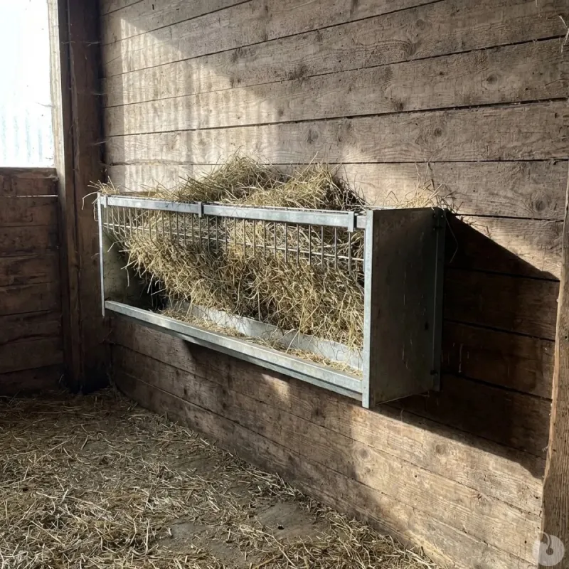 Ratelier mural galvanisé pour ovins et caprins 207 cm