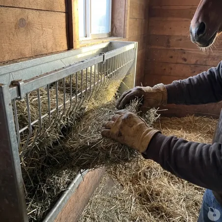 Ratelier mural galvanisé pour ovins et caprins 207 cm