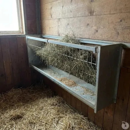 Ratelier mural galvanisé pour ovins et caprins 207 cm