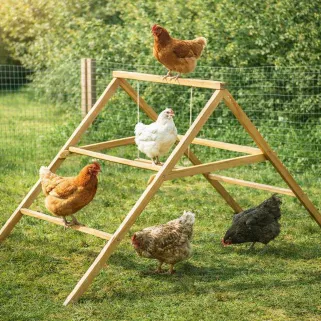 Perchoir bois 2 échelles + balançoire pour poules