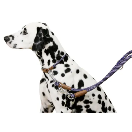 Collier chien en corde ajustable 40-55 cm - robuste et stylé