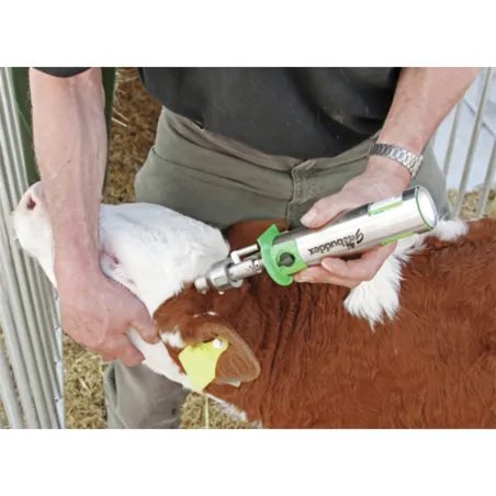 Écorneur gaz Buddex inox - Écornage rapide et précis