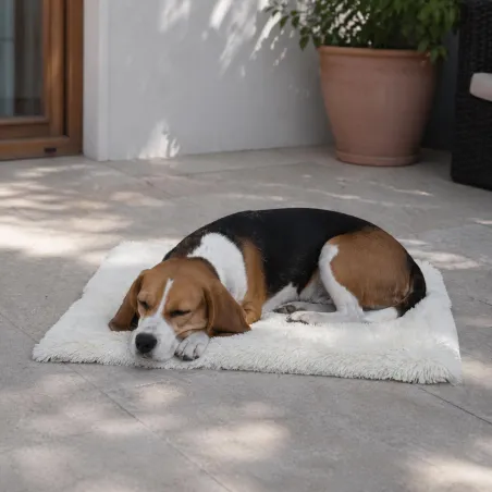 Plaid fourrure crème pour chien - 95x63 cm - Doux et élégant