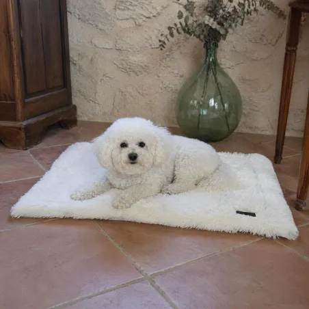 Plaid fourrure crème pour chien - 95x63 cm - Doux et élégant