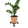 Support à roulettes pour pots 22,5-30 cm - Gris