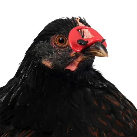 Lot de 100 lunettes anti-piquage pour volailles - Petit modèle