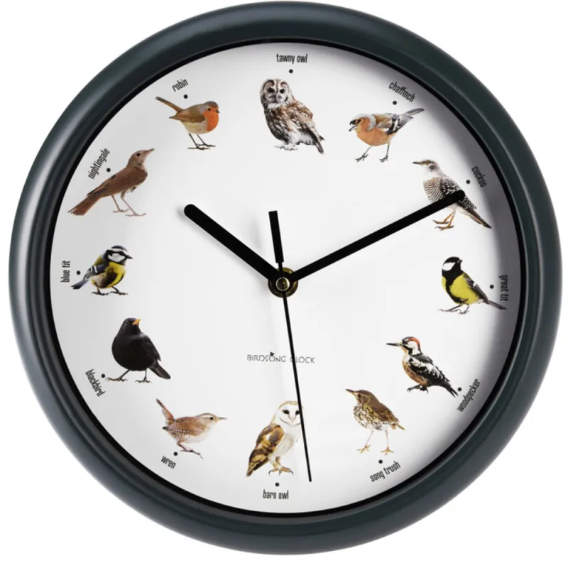 Horloge murale à chants d'oiseaux 50 cm - Nature chez vous