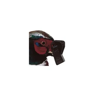 Lot de 5 Speed-bec antipicage petit modèle pour poules