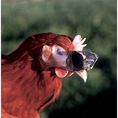 Lot de 100 antipicage Speed-lune pour volailles