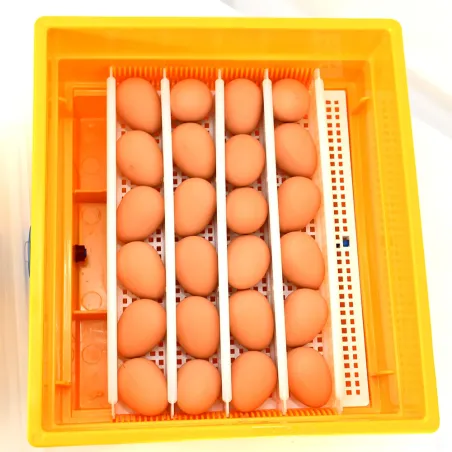 Couveuse Novital Covatutto 24 Eco - 24 œufs