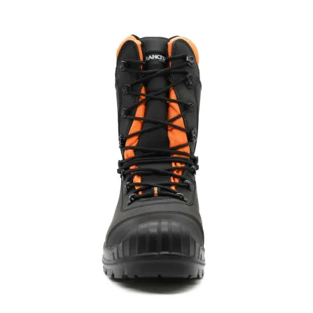 Chaussures forestières SALIX - Cuir coque acier normées EN ISO